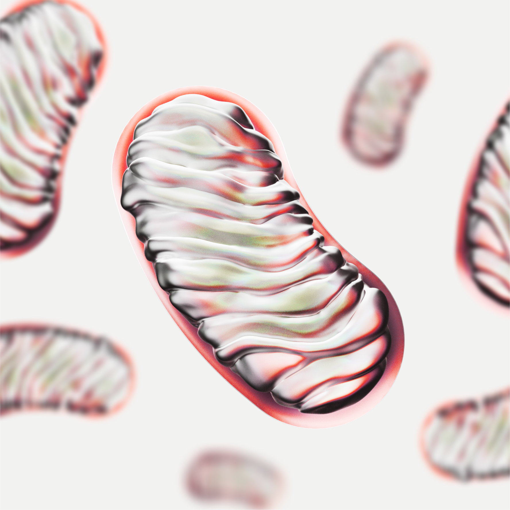 New healthy mitochondria